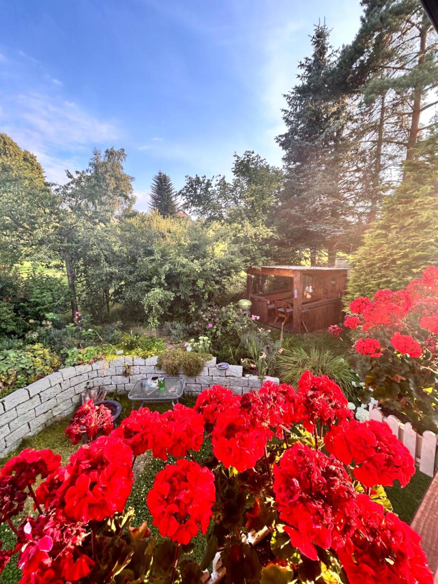 Mit Gartennutzung, Garage Und Wallbox Apartment Ebersbach-Neugersdorf